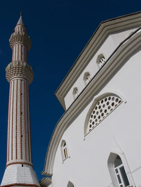 stock image Mosque in Turkey 2