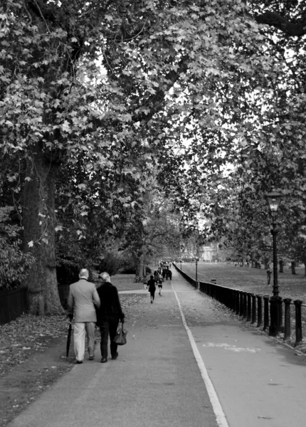 Hyde Park: London — Stock Photo, Image