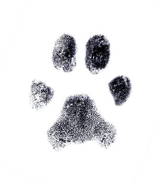 Dog fingerprint clipart