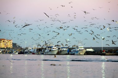 Fishing Boats clipart