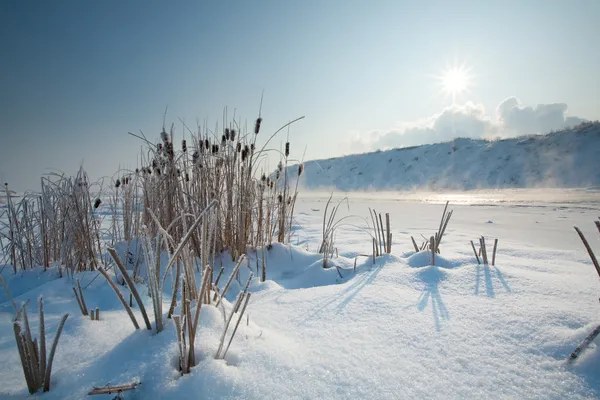 stock image Winter Landscape