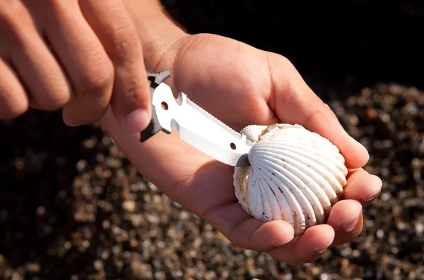 stock image Opening A Oyster