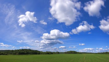 Panorama of a field with clouds clipart