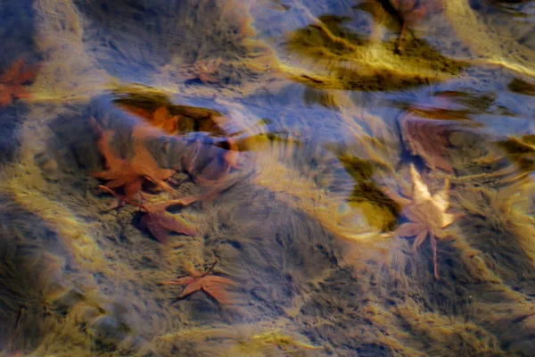 Jesienny wody — Zdjęcie stockowe