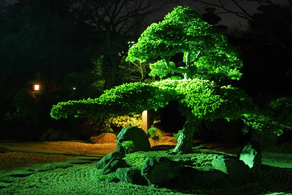 Ogród Zen w nocy — Zdjęcie stockowe