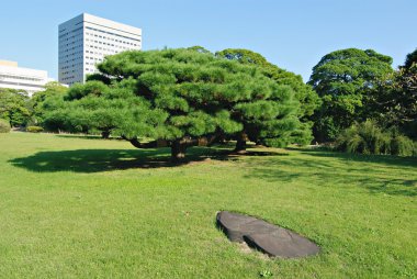 Zen garden clipart