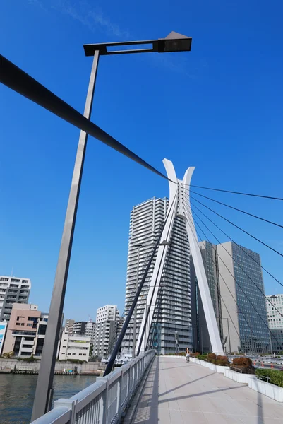 Ponte de suspensão vertical — Fotografia de Stock