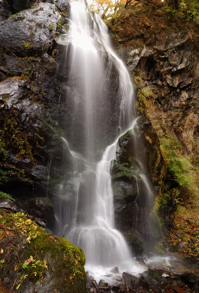 Japanese waterfall vertical — Stock Photo, Image