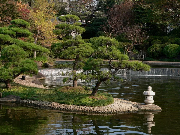 日本の池 — ストック写真