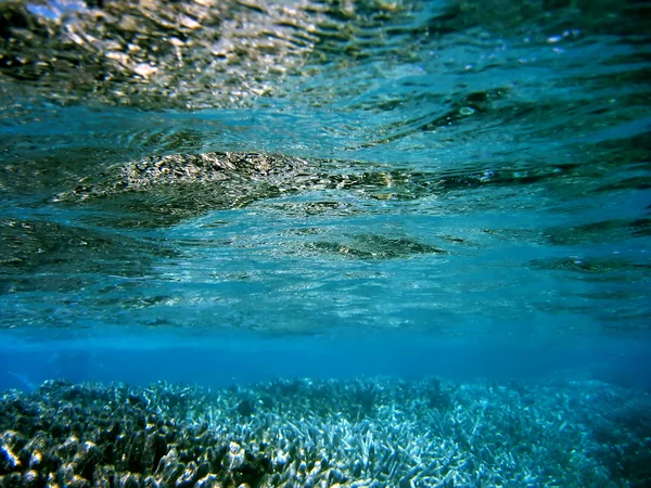 Underwater scape — Stock Photo, Image