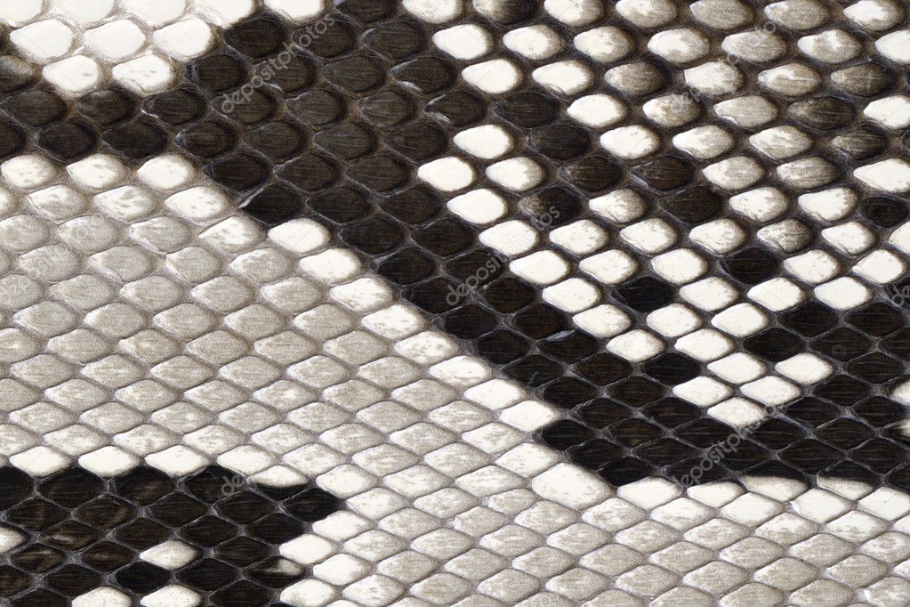 Snake skin leather material