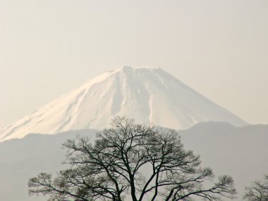 Mt.Fuji view clipart