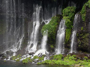 Japanese waterfall Shiraito clipart
