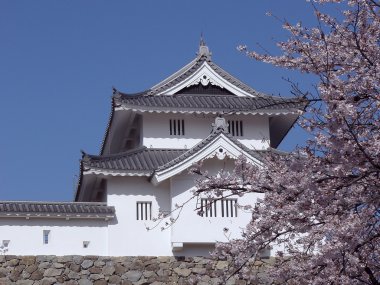 Japanese castle in spring-time clipart