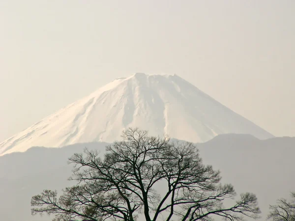 富士山を望む — ストック写真