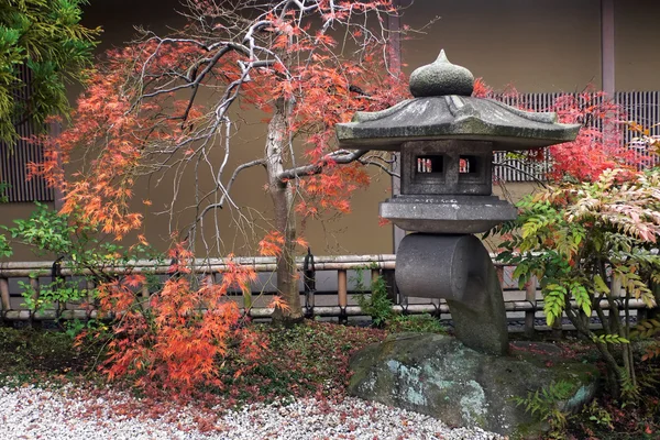 Japán lámpás és őszi juhar fa — Stock Fotó