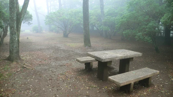 Деревянная скамейка в туманном парке — стоковое фото