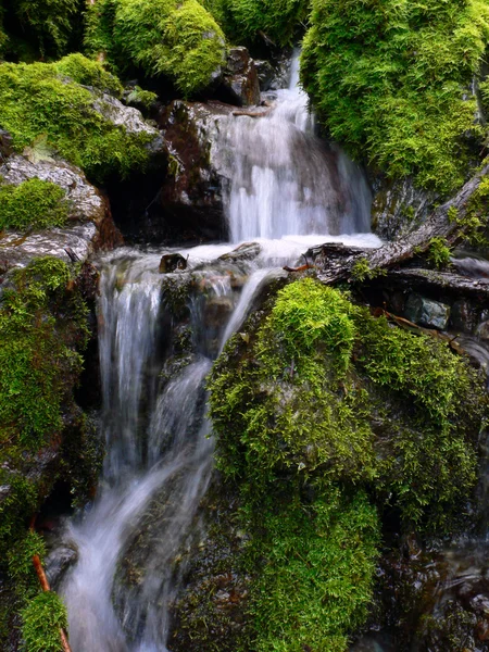 Tatlı su cascade — Stok fotoğraf