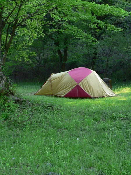 Camp im Sommerwald — Stockfoto
