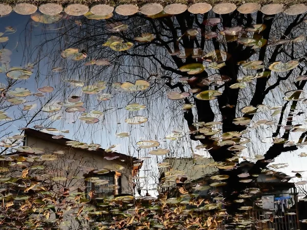 Herbstliche Landschaft abstrakt — Stockfoto
