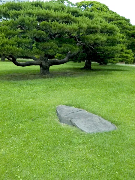 Ogród zen — Zdjęcie stockowe