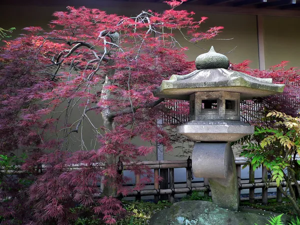 Японский сад Стоковое Изображение