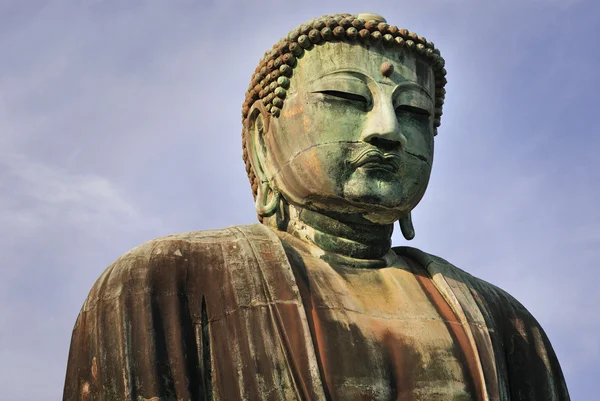 Buda kafa — Stok fotoğraf