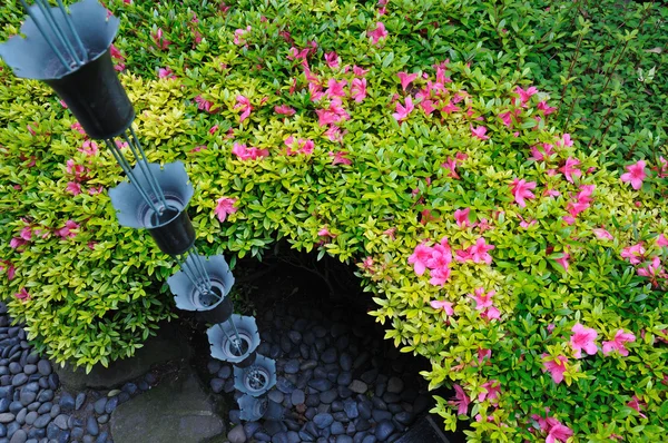 W ogród japoński — Zdjęcie stockowe