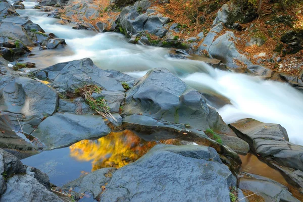 Sonbahar Nehri — Stok fotoğraf