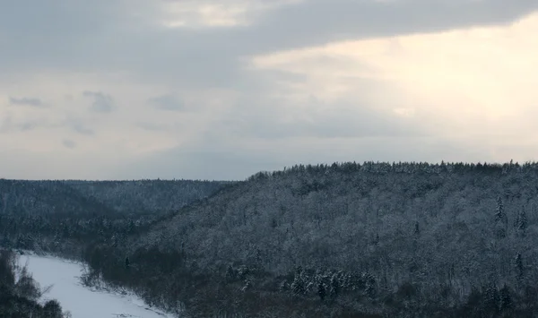 Forest hills w zimie — Zdjęcie stockowe