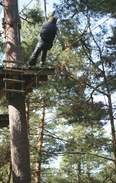 stock image Boy in nature adventure park