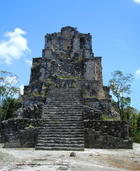 Mayan Temple in Muyil Mexico Stock Image