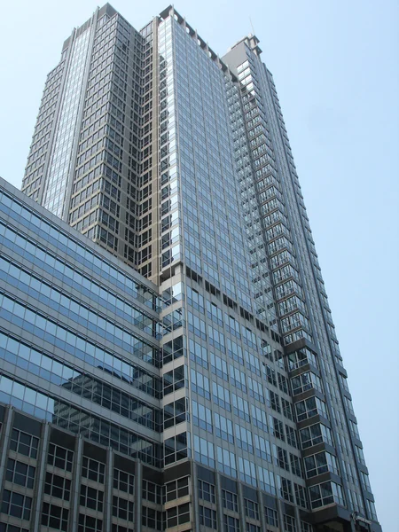 Sleek Chicago Building — Stock Photo, Image