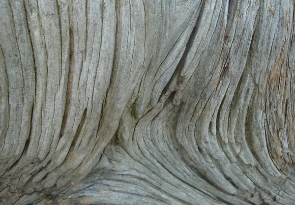 Grano de madera gris envejecido —  Fotos de Stock