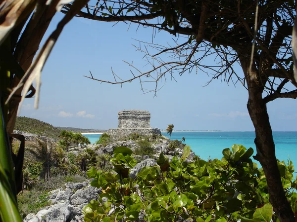 Classic Mayan Temple in Tulum Mexico