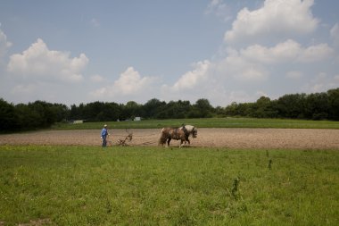 Farming like in past - old-fashioned? clipart