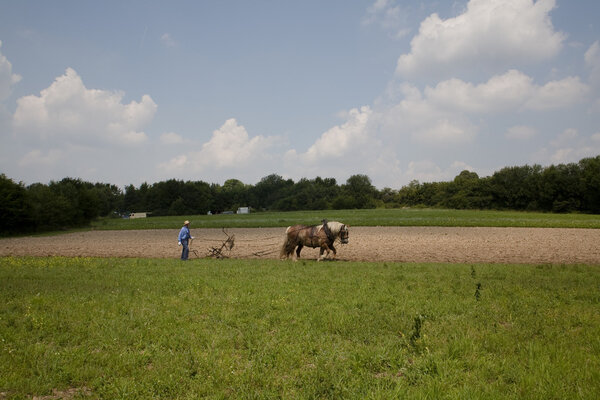 Farming like in past - old-fashioned?