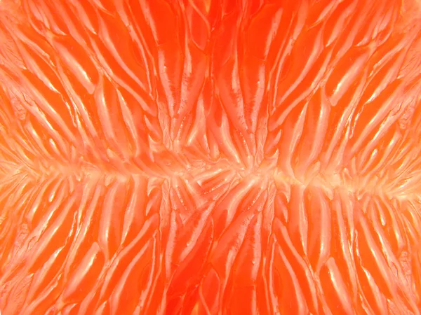 Grapefruit background — Stock Photo, Image