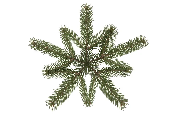 Snowflake spruce branch — Stock Photo, Image