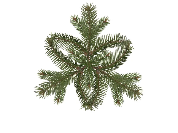 Snowflake spruce branch — Stock Photo, Image