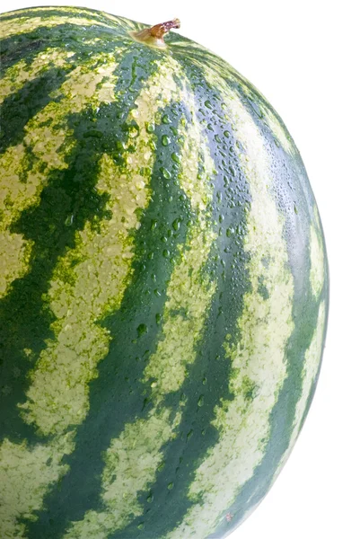 Stor mogen vattenmelon med vattendroppar — Stockfoto