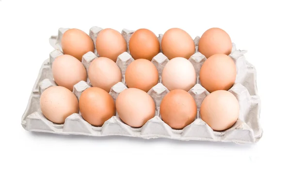 stock image Eggs