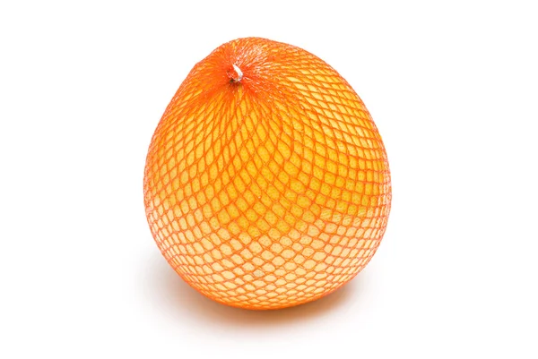 Pomarańcza olbrzymia. — Zdjęcie stockowe