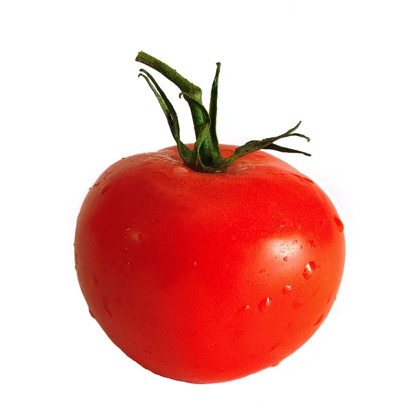 Tomat naturliga isolerade — Stockfoto