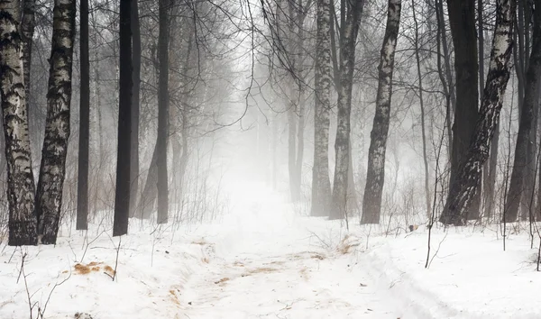 Strada neve invernale — Foto Stock