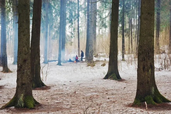 stock image Winter campfire