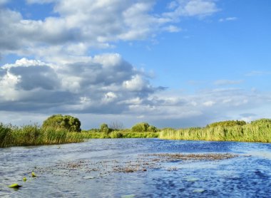 Marsh Nehri