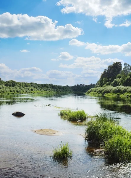 The river with green grass small islands — Stock Photo, Image