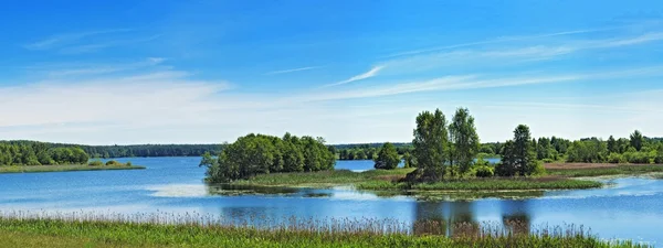 녹색 섬 스톡 사진