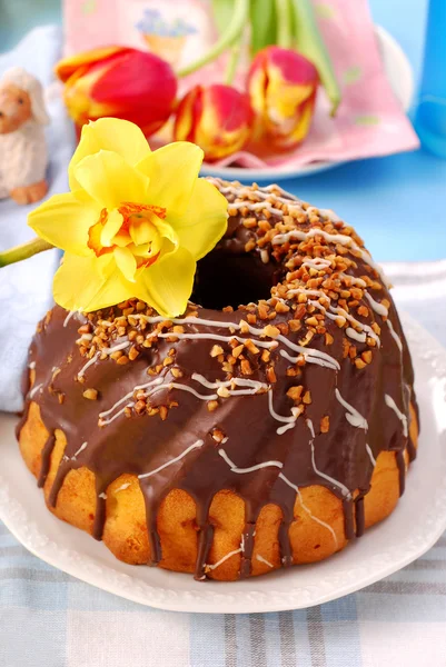 Chocolate ring cake for easter — Stock Photo, Image